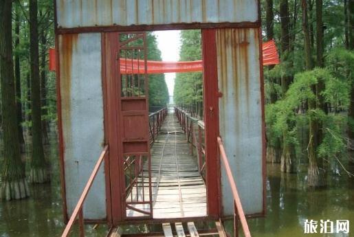 2023武汉新洲涨渡湖湿地公园游玩攻略