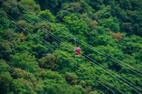 神鹿峰旅游度假区在哪里 附交通指南