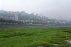 重庆的江心岛有哪些景点