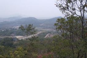 洋麻山森林公園旅游攻略-門票價格-景點信息