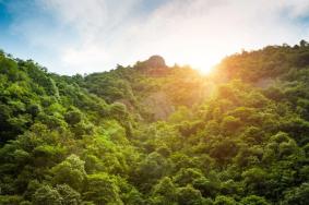 遂昌千佛山好玩吗 附景点介绍