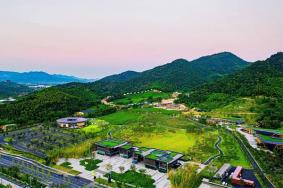 上渚山奇幻谷旅游攻略-門票價格-景點信息