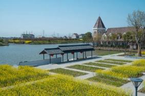 漕泾郊野公园夏天玩什么好