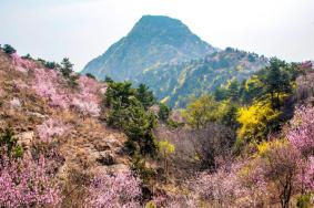 2023济南香山景区门票多少钱