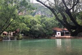 南洞风景区玻璃桥在哪里