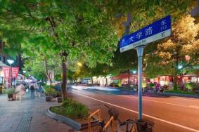 上海大学路5月20日起变为限时步行街