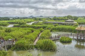 2024德清下渚湖濕地公園門票多少錢 附優惠政策