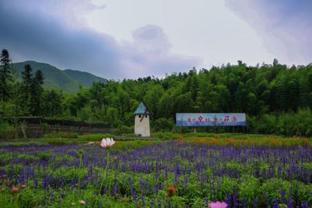 浙东大竹海游玩攻略-门票价格-景点信息