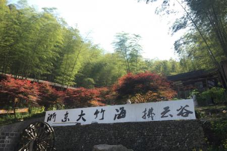 浙东大竹海游玩攻略-门票价格-景点信息