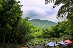 浙东大竹海有哪些景点 附景点介绍