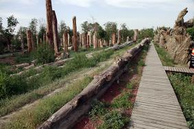 2024年新疆古生态园旅游攻略-门票价格-景点信息