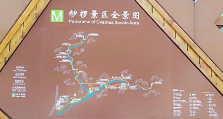 2023桫椤国家级自然保护区游玩攻略 - 门票价格 - 优惠政策 - 简介 - 地址 - 交通 - 天气