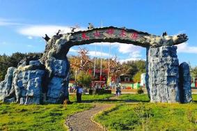 2024新疆天山神木园旅游攻略-门票价格-景点信息