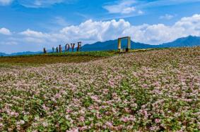 西安有哪些花海景点 西安花海景点推荐