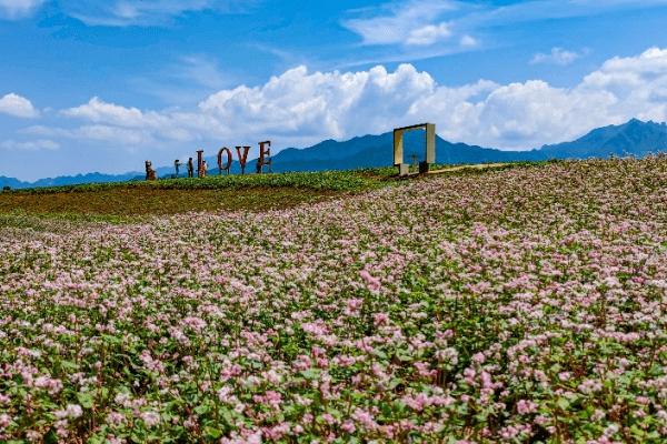 西安有哪些花海景点 西安花海景点推荐