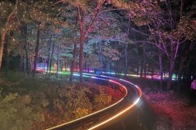 2023净月潭夜游攻略 附夜场开放时间