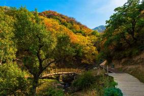 野核桃沟景区怎么样