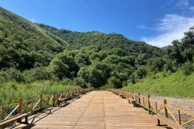 巩留县野核桃沟风景区门票多少钱2023