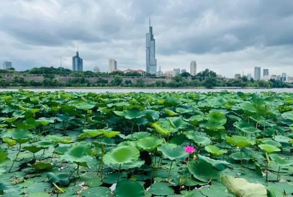 2023南京夏天周末好去處