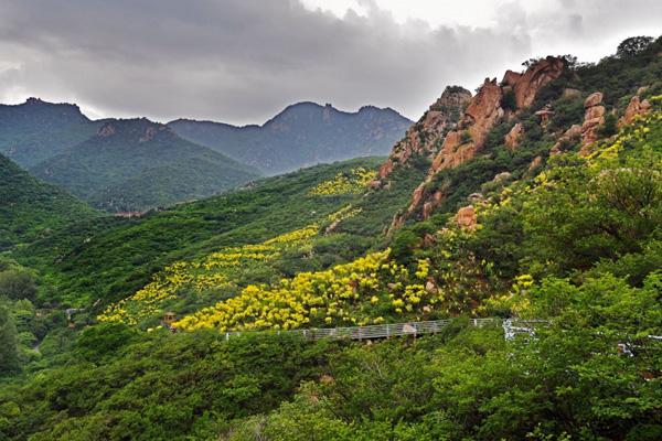 夏季大年夜连旅游必往景面 11个躲寒好往背