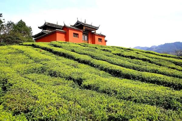 樂山清涼夏日避暑勝地 18個避暑好去處