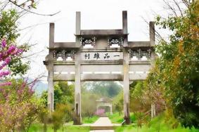 雄村景区要门票吗