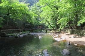 五泄风景区门票本地人免费吗
