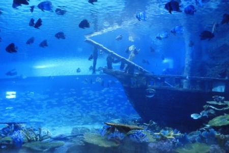 溱湖海昌海洋馆游玩攻略-门票价格-景点信息