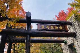 杭州植物园门票优惠政策2024