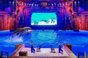 波塞冬海底世界表演时间表2024