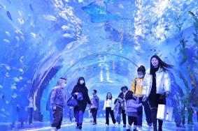 波塞冬海底世界和极地馆哪好玩