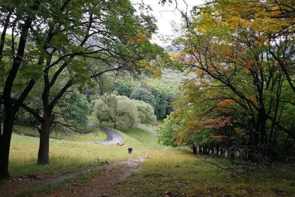 哈爾濱周邊登山哪里好 十大登山好去處