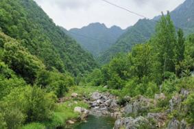 南阳旅游必去十大景点有哪些 南阳值得去的景点