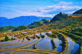 云和梯田景区内的民宿哪家好