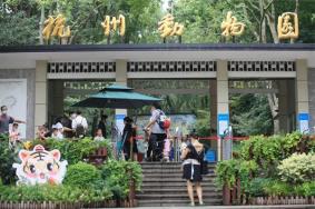 杭州动物园有熊猫吗2024