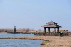 2024杭州湾国家湿地公园旅游攻略-门票价格-景点信息