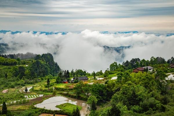 重庆夏天避暑的地方有哪些