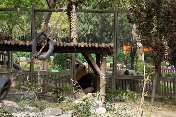 2023济南动物园门票多少钱 附优惠政策