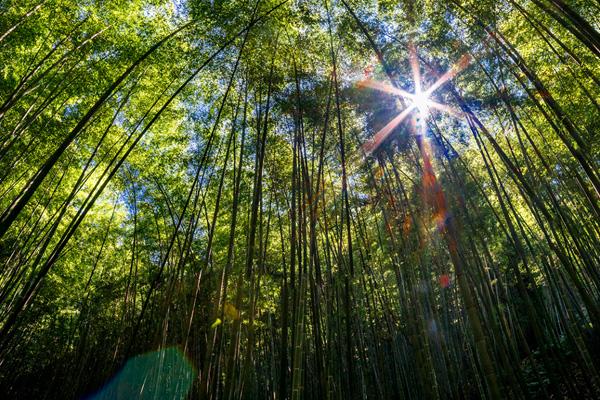 “破圈”协作，通关更便捷