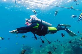 2024亚龙湾爱琴海PADI潜水度假村旅游攻略-门票价格-景点信息