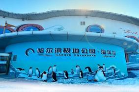 哈尔滨海洋馆和极地馆是一个地方吗