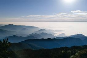 东天目山海拔多少米高