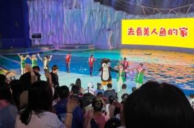 2023哈尔滨暑假旅游景点优惠活动