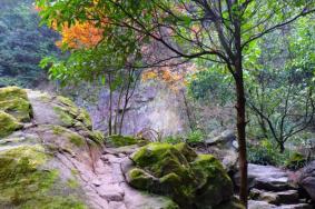 磐安百杖潭风景区好玩吗 附景点介绍