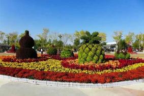 2024银川花卉博览园旅游攻略-门票价格-景点信息
