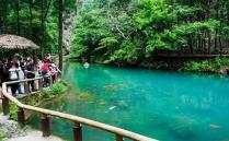 雁荡山国家森林公园旅游攻略-门票价格-景点信息