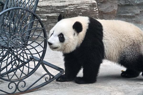 北京有几个动物园 哪个最好