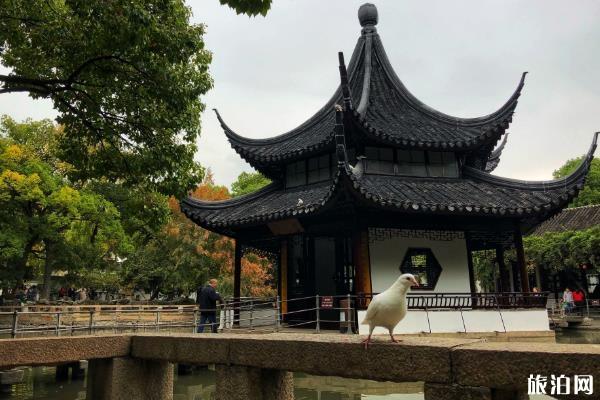 西園寺求什么最靈 西園寺求姻緣靈嗎