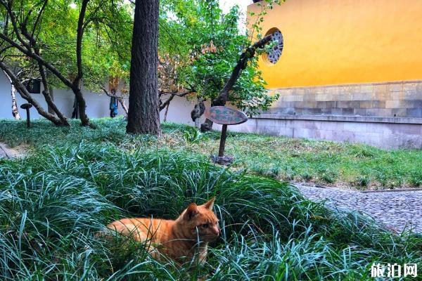 西園寺求什么最靈 西園寺求姻緣靈嗎