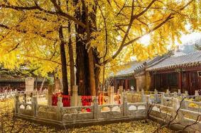 潭柘寺哪个殿求姻缘签